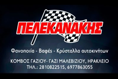 ΠΕΛΕΚΑΝΑΚΗΣ ΠΑΝΤΕΛΕΗΜΩΝ