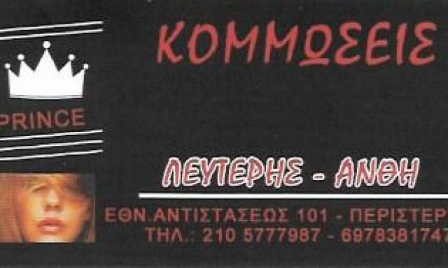 PRINCE – ΔΗΜΟΥ ΑΝΘΗ ΚΑΙ ΣΤΑΥΡΟΥ ΛΕΥΤΕΡΗΣ