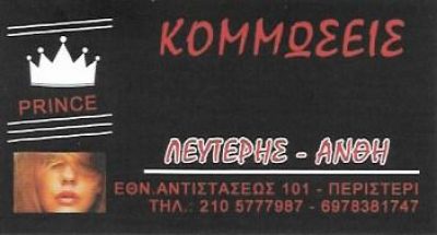 PRINCE – ΔΗΜΟΥ ΑΝΘΗ ΚΑΙ ΣΤΑΥΡΟΥ ΛΕΥΤΕΡΗΣ