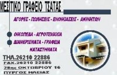 ΤΣΑΤΑΣ ΒΑΣΙΛΕΙΟΣ Π.