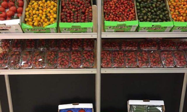 FRUIT LINE – ΚΑΠΝΙΣΑΚΗΣ – ΜΠΟΥΛΙΤΣΑΚΗΣ ΑΕΕ