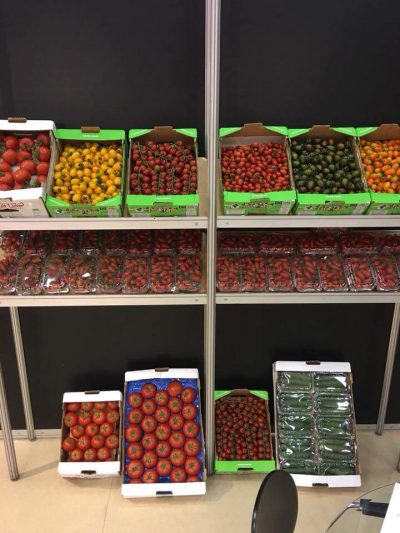 FRUIT LINE &#8211; ΚΑΠΝΙΣΑΚΗΣ &#8211; ΜΠΟΥΛΙΤΣΑΚΗΣ ΑΕΕ