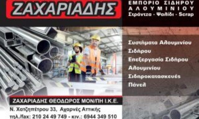 ΖΑΧΑΡΙΑΔΗΣ ΘΕΟΔΩΡΟΣ ΜΟΝΟΠΡΟΣΩΠΗ ΙΚΕ