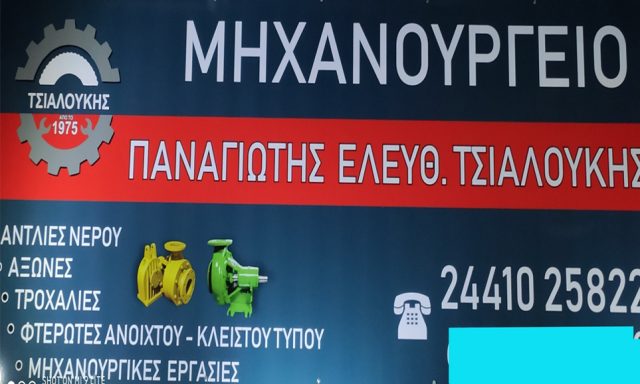 ΤΣΙΑΛΟΥΚΗΣ ΠΑΝΑΓΙΩΤΗΣ Ε.