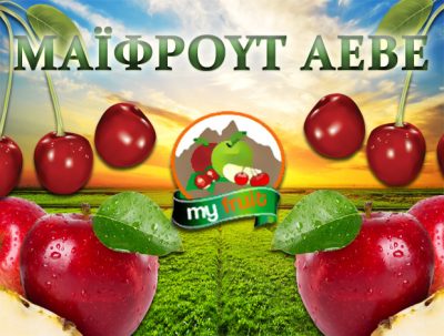 MY FRUIT ΑΕΒΕ