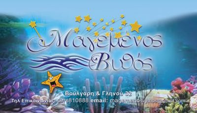 ΜΑΓΕΜΕΝΟΣ ΒΥΘΟΣ – ΧΑΛΙΝΤΙΑΝΙΔΗΣ ΓΕΩΡΓΙΟΣ