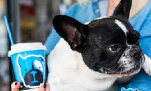 COFFEE LAB (Γιούσεφ Αναστασία Φ.)