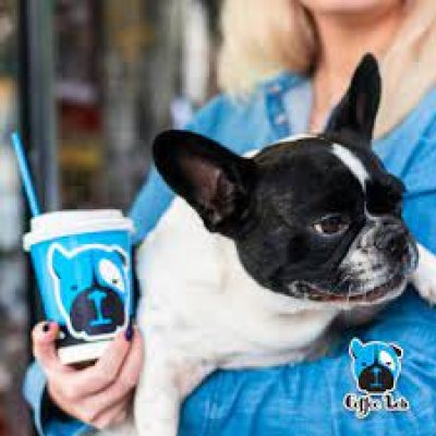 COFFEE LAB (Γιούσεφ Αναστασία Φ.)